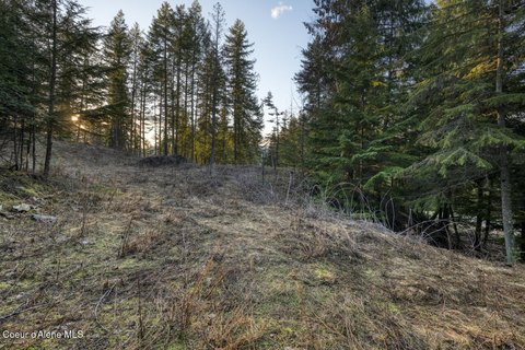 Land, Sandpoint, ID