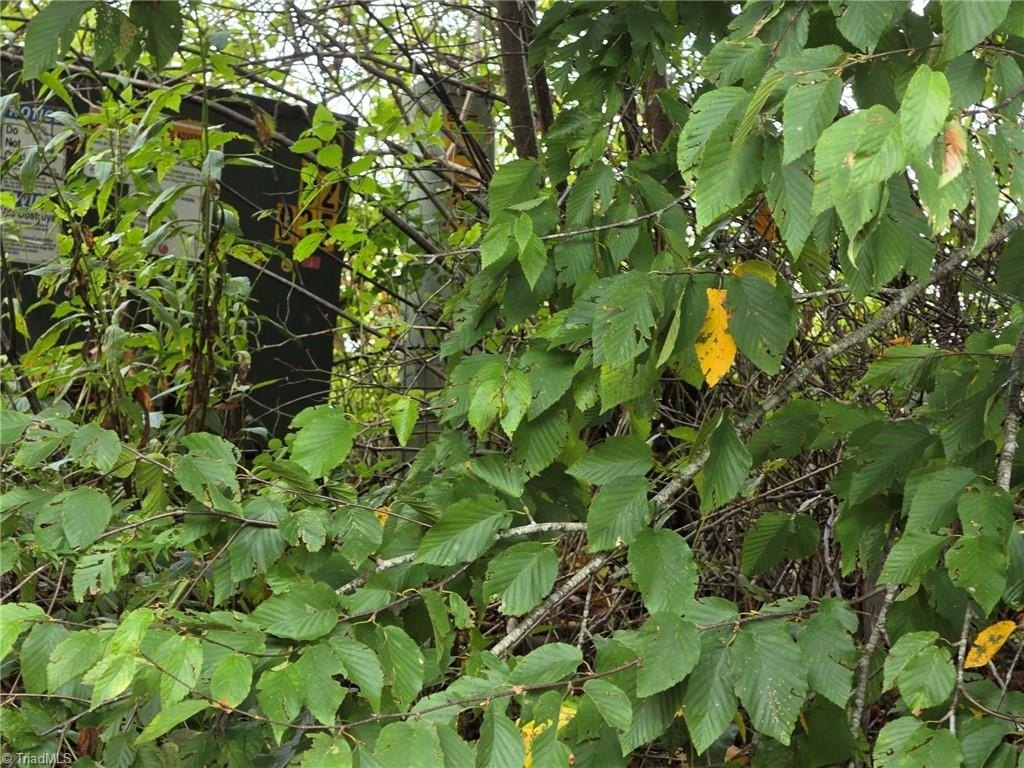 Picture 17