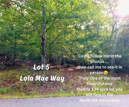 Vacant Lot, Morganton, GA