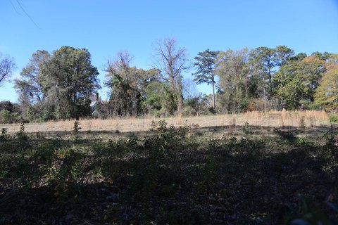 Residential Land in Greystone