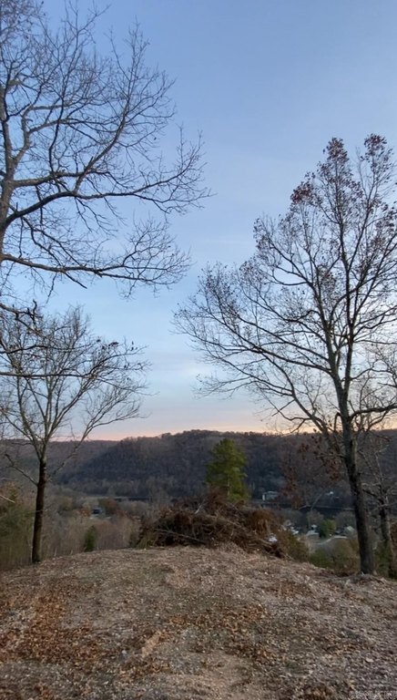 Picture 10