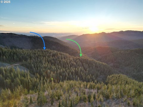 Washougal Timbered Land For Sale