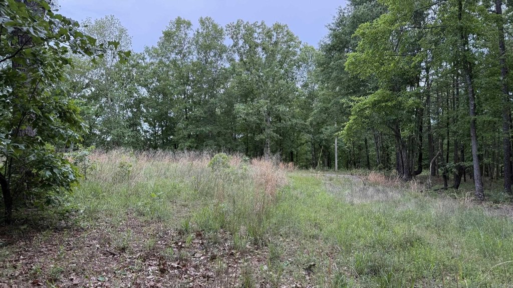 Picture 30