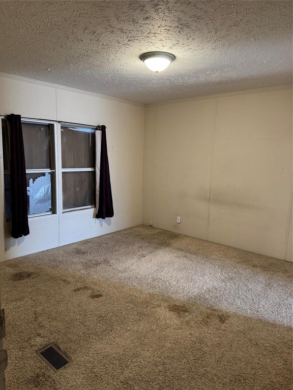 Picture 28