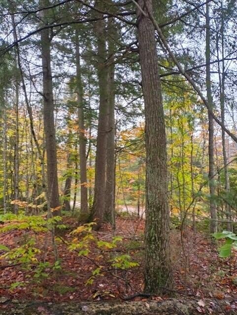 Wooded Land with Recreational Potential