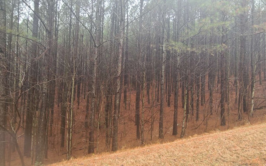 Picture 3