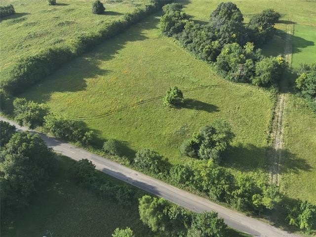 Picture 14