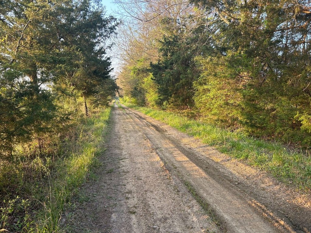 Picture 3