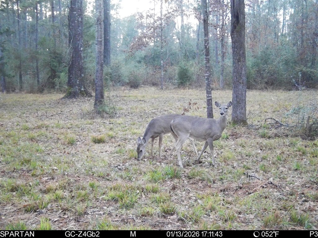 Picture 13