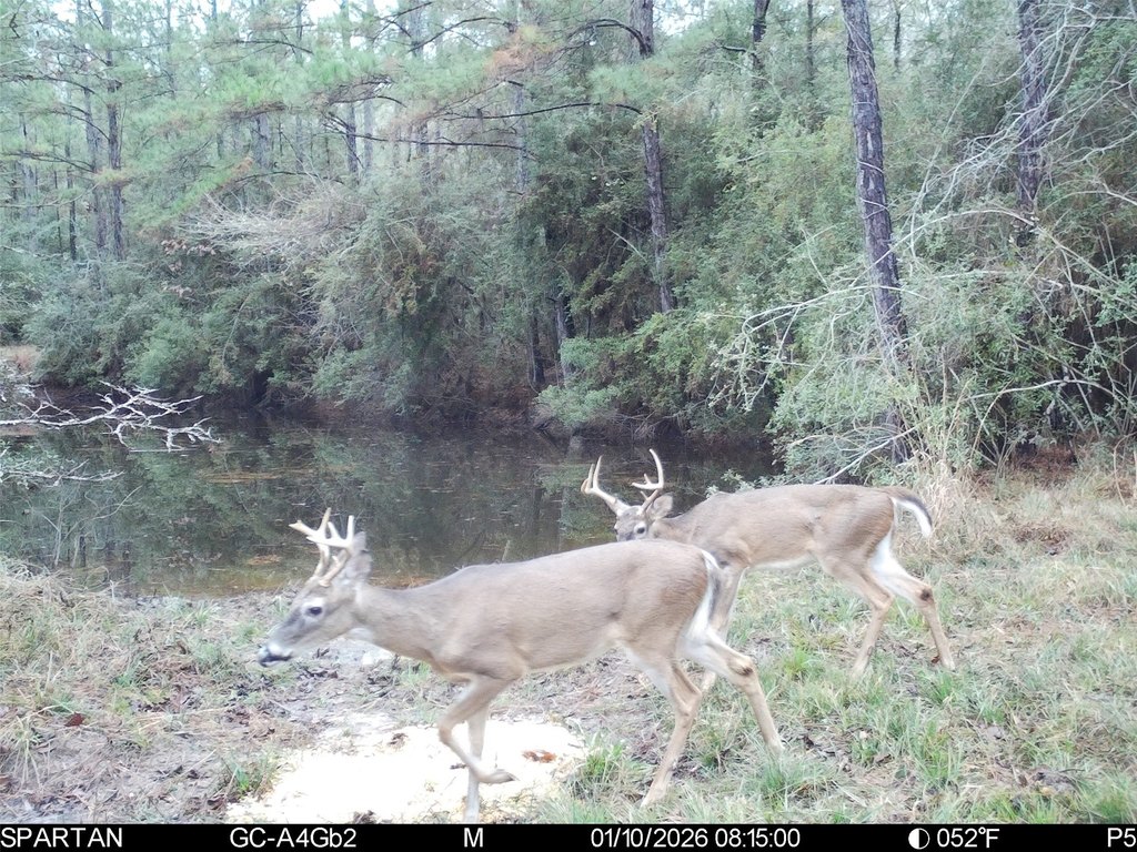 Picture 14