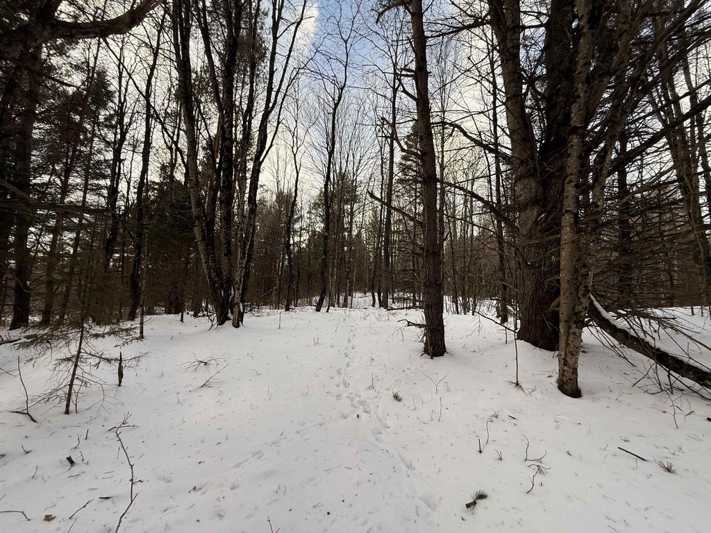 Picture 15