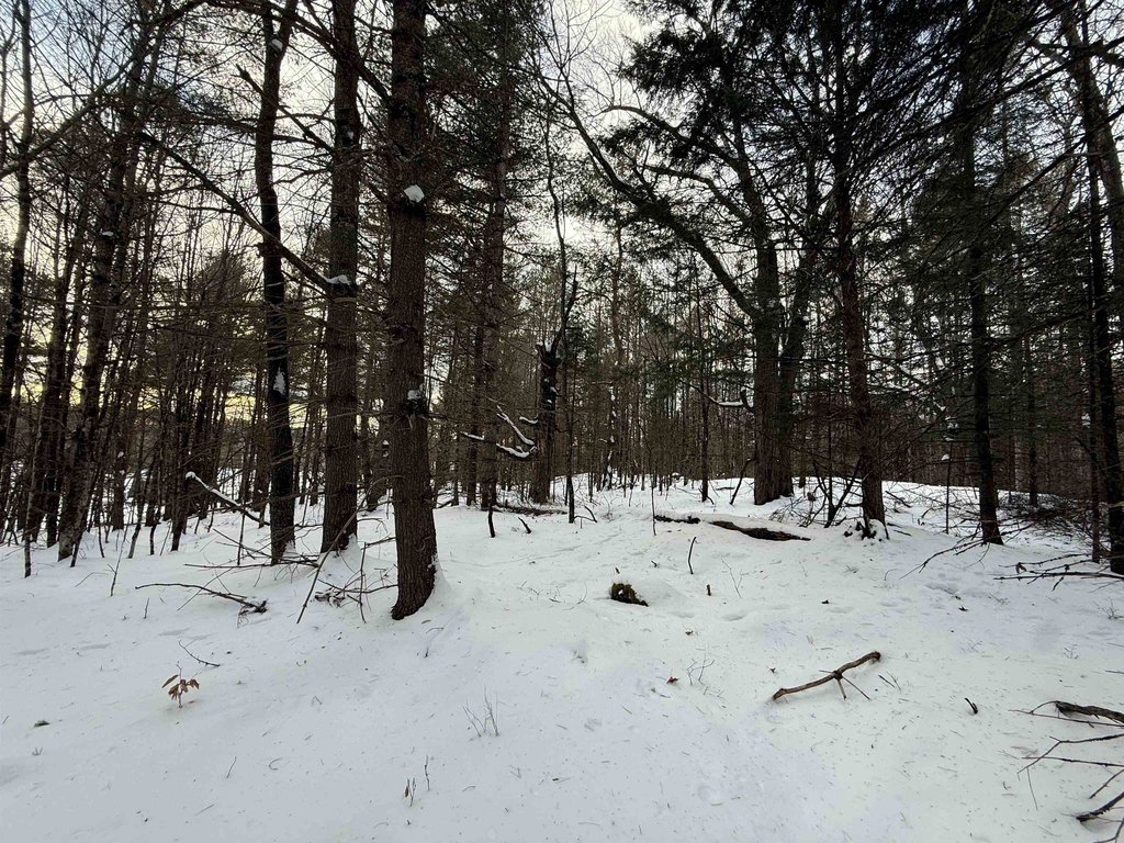Picture 14