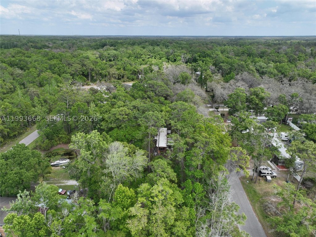 Picture 23