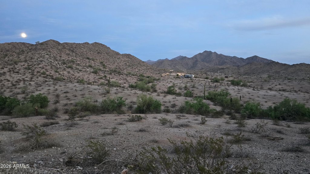 Picture 31