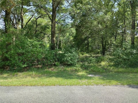 LAND - DELAND, FL