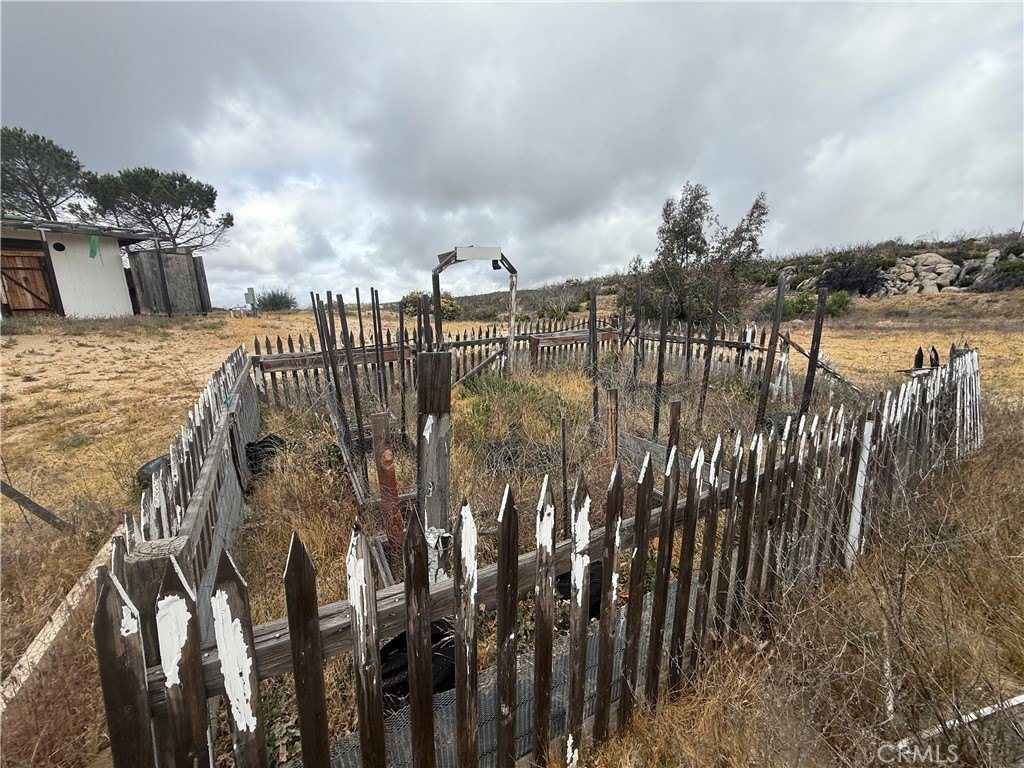 Picture 59