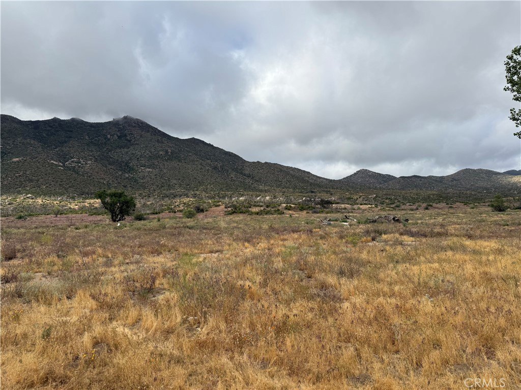 Picture 28