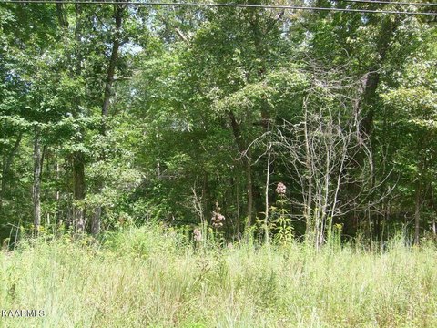 Lots & Acreage, Crossville, TN