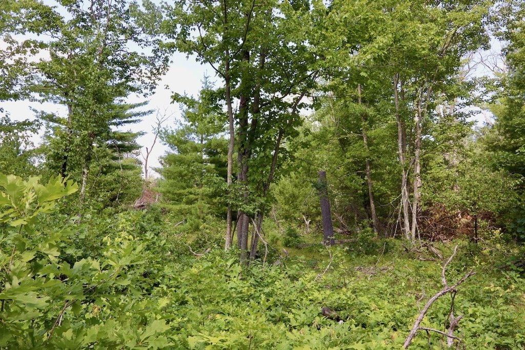 Picture 8