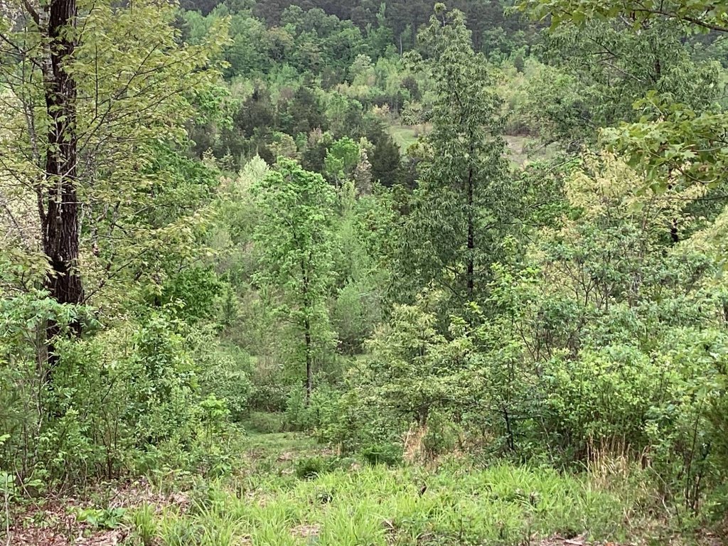 Picture 25