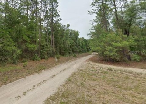Land, DUNNELLON, FL