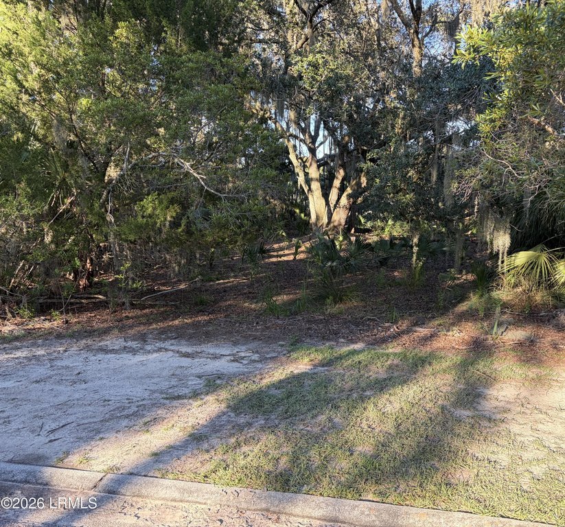 Picture 4