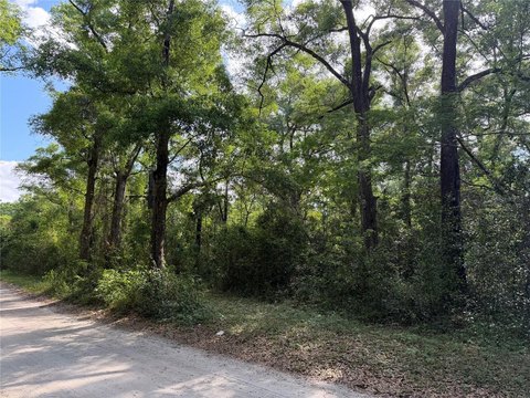 Residential Lot Near Nature Trail