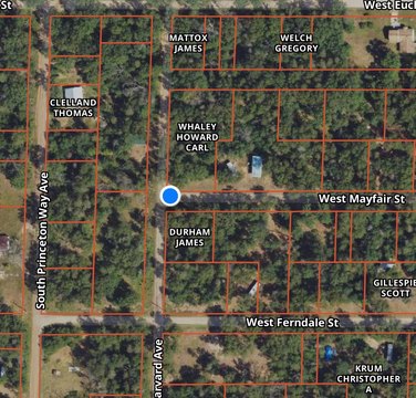 Wooded Corner Lots in Baldwin