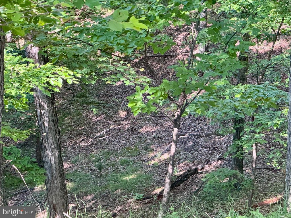 Picture 18