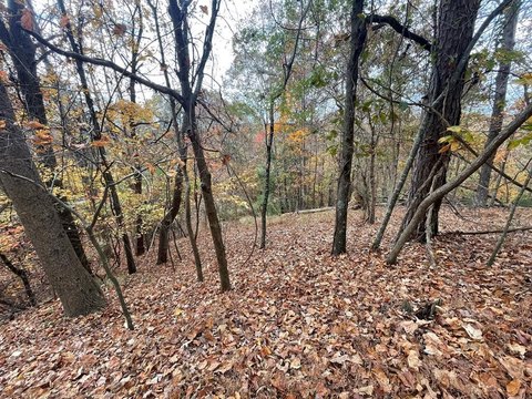 Gently Sloped Wooded Lot