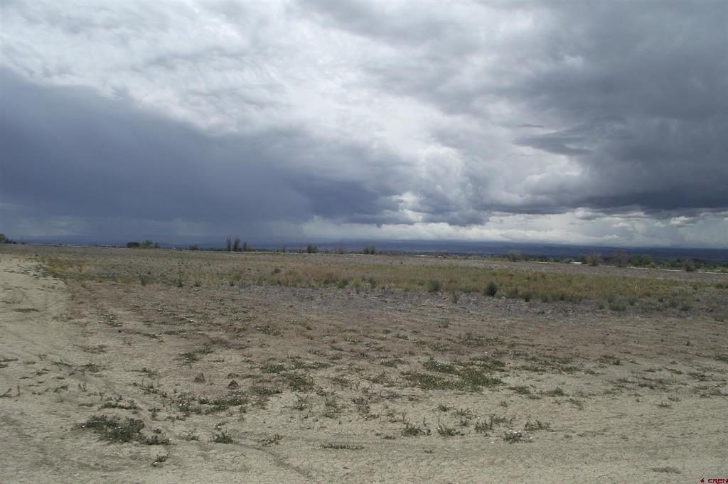 Picture 9