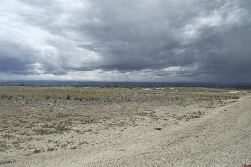 Picture 10