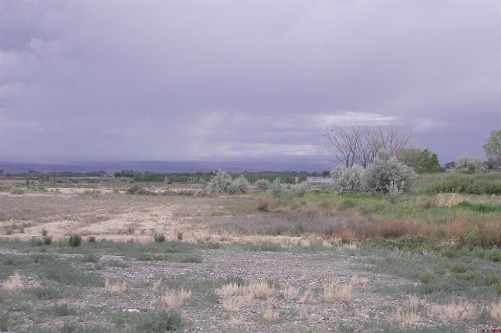Picture 25