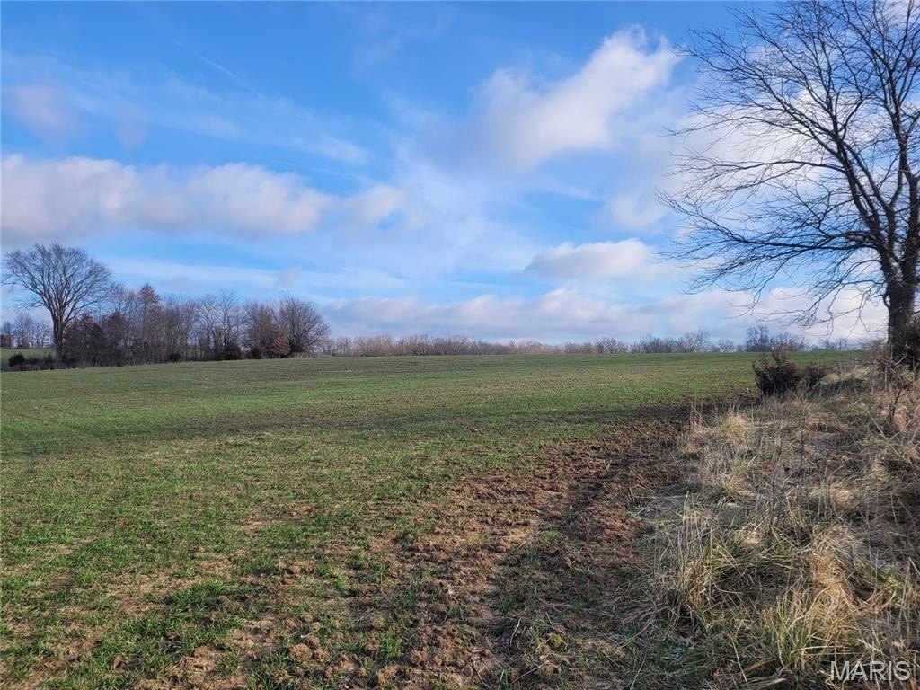 Scenic Land with Homesite Potential