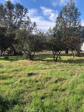 Treed Residential Lot with Views