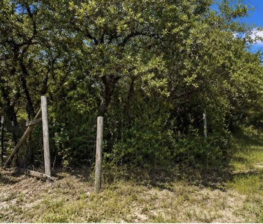 Picture 3