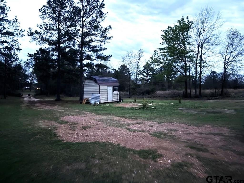 Picture 5