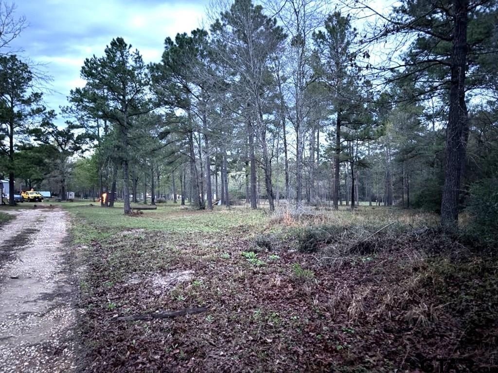 Picture 2