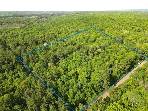 Wooded Recreational Land Parcel