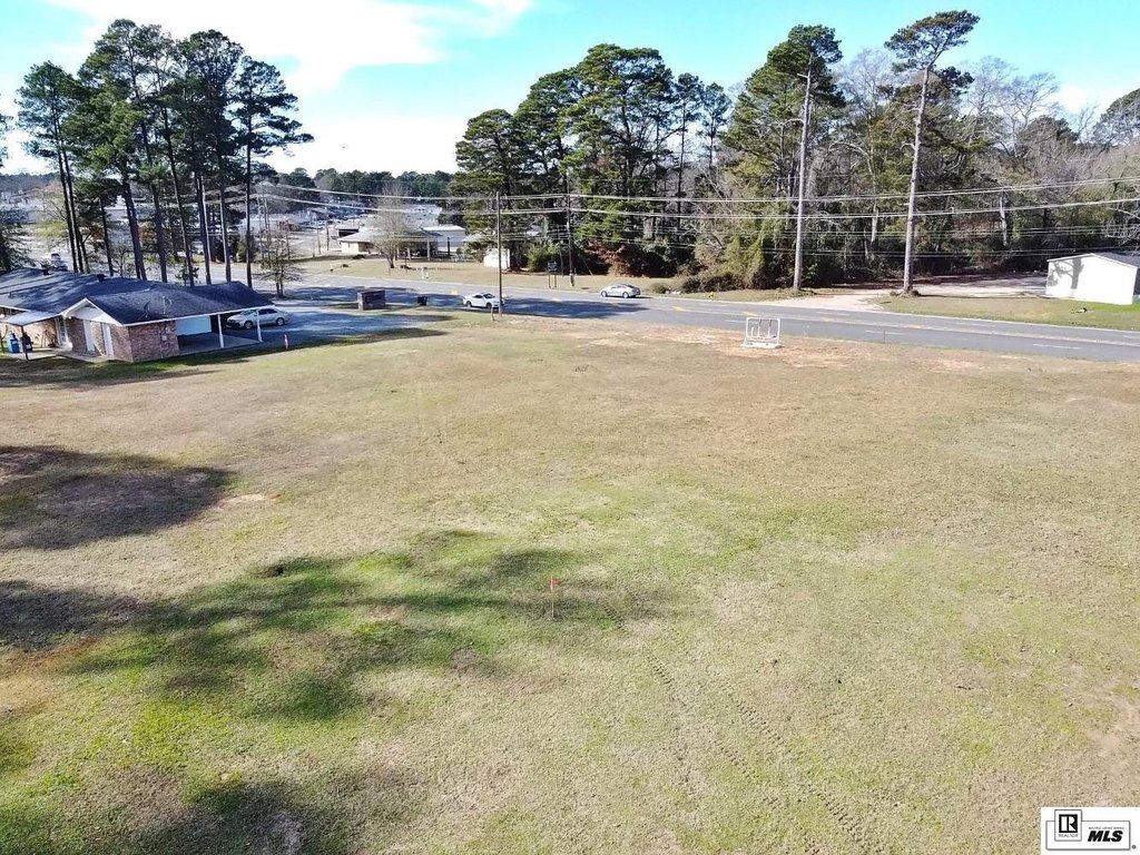 Picture 12
