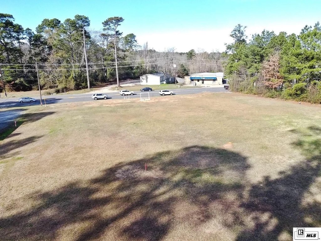 Picture 11