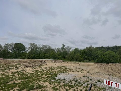 LOTS AND LAND, Huntertown, IL