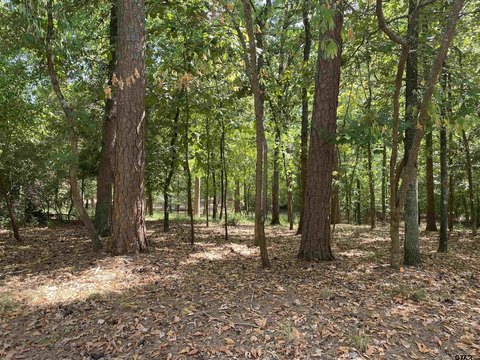 LAND - Holly Lake Ranch, TX