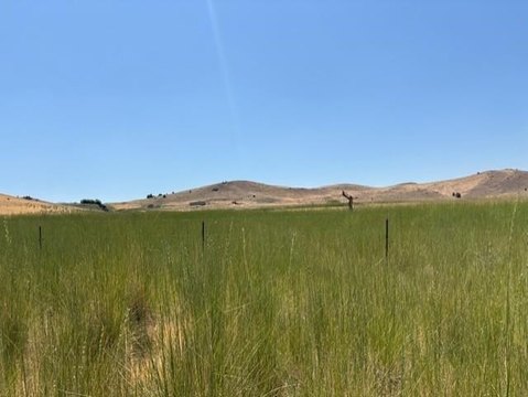 Montague Land with Agricultural Potential