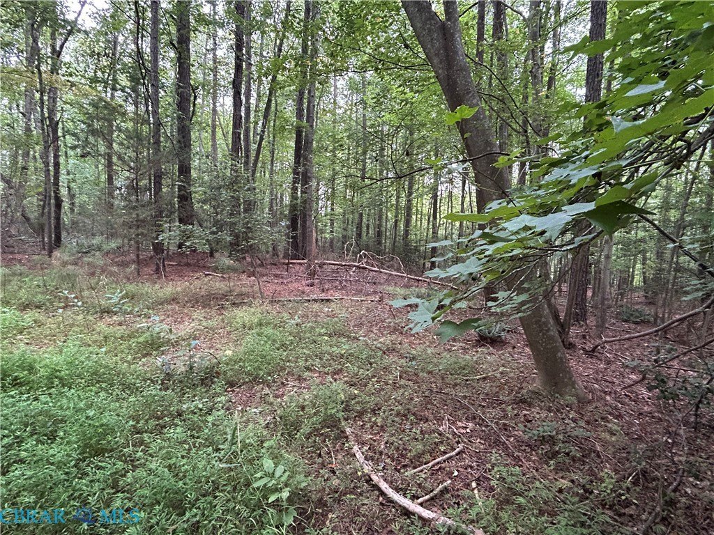 Picture 3