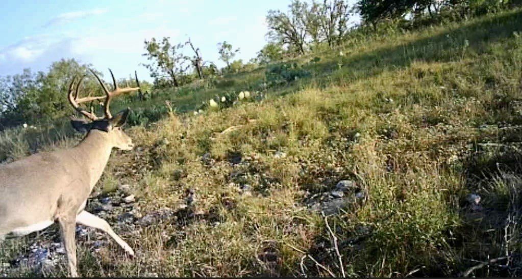 Picture 6