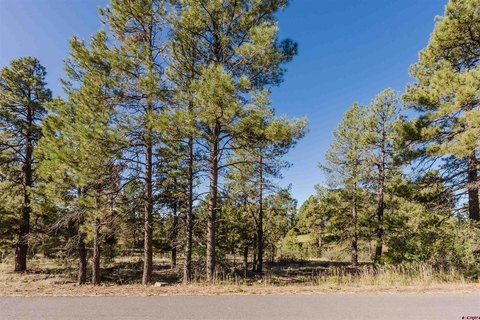 Land in Pagosa Springs, CO
