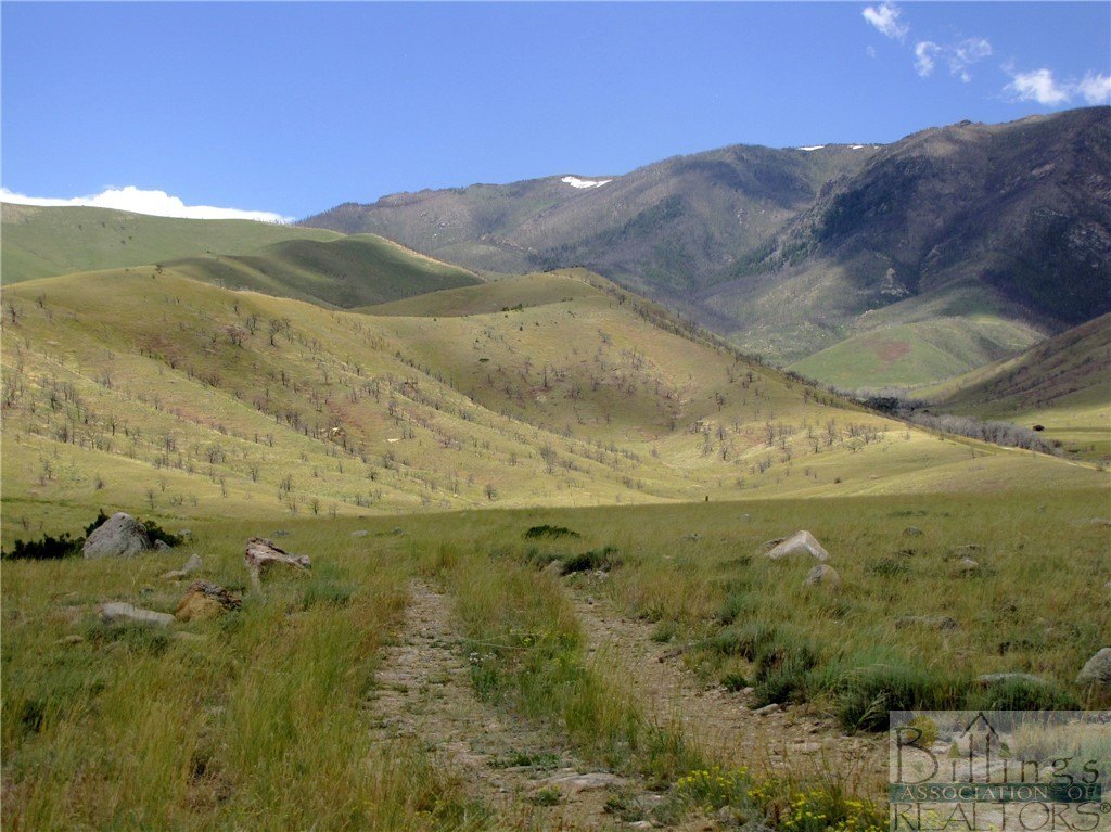 Secluded Land with Mountain Views