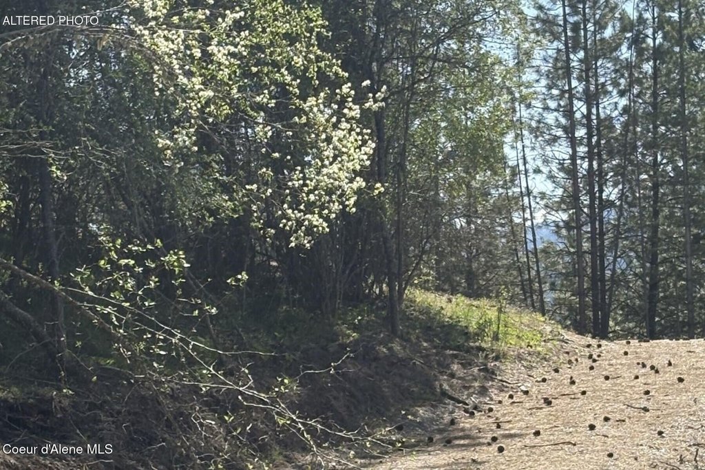 Picture 15