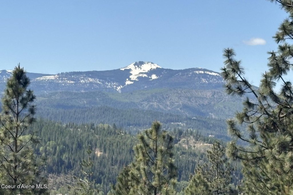 Picture 3